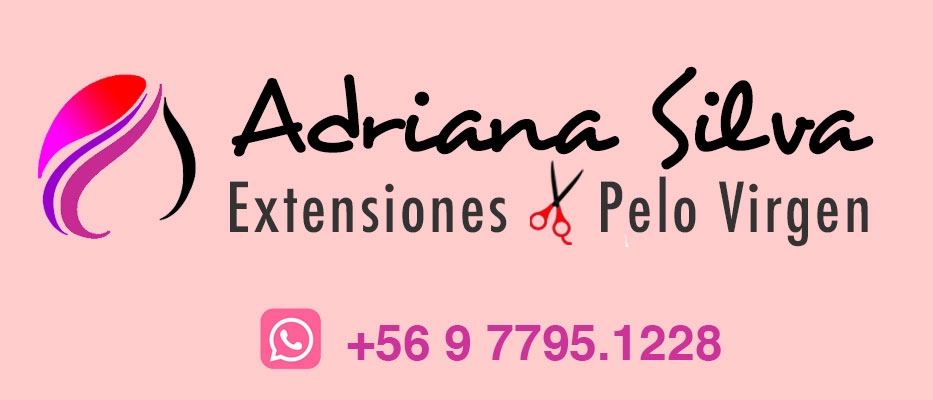 adrianasilva.cl
